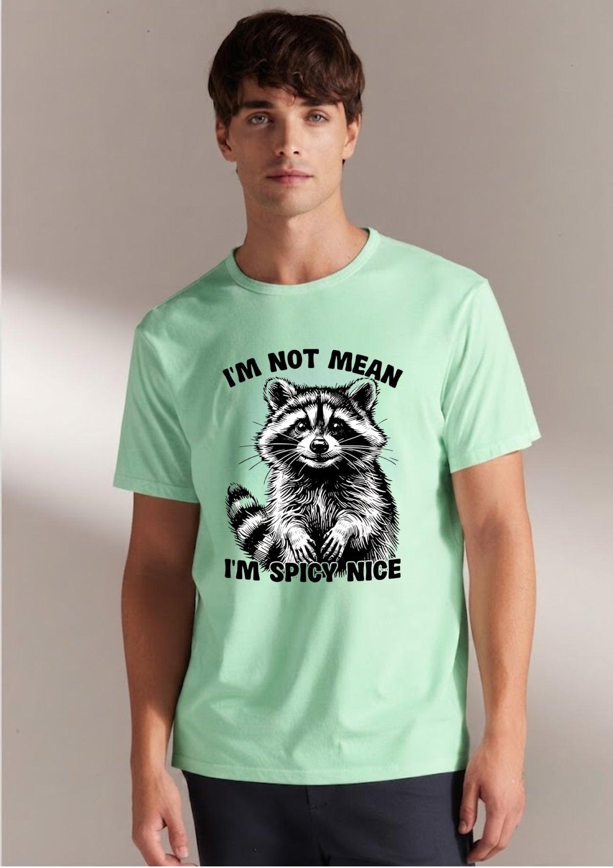 I’m Not Mean I’m Spicy Nice Regular T-Shirt | 180 GSM | 100% Cotton